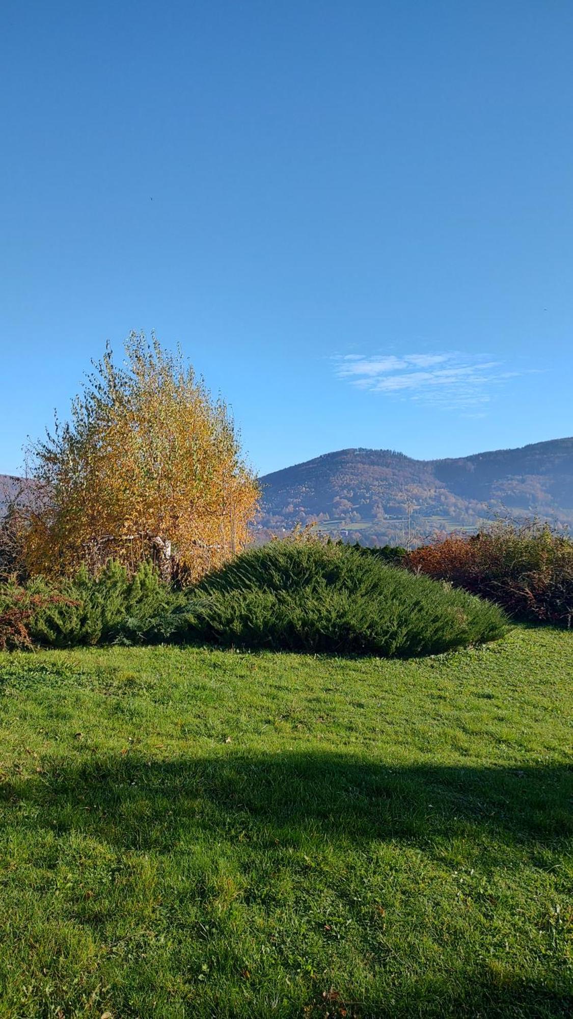 Dog Friendly Dom, Apartamenty Wichrowe Wzgorza Z Basenem Brenna Ustroň Exteriér fotografie